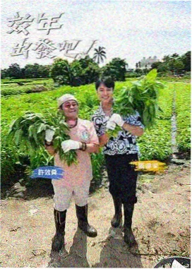 星光现场综艺在线播放